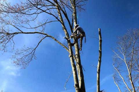 AC-Tree-Service-LLC-5407058454-Harrisonburg-VA-Roofing-Services-Tree-Services-Remodeling-Old-House-19