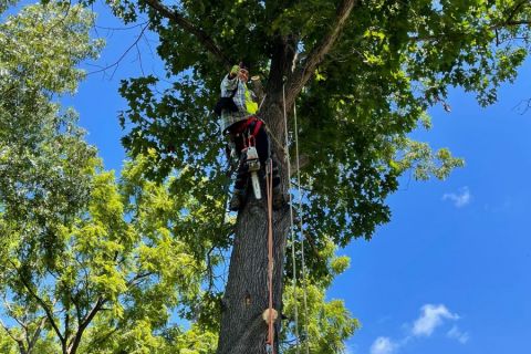 AC-Tree-Service-LLC-5407058454-Harrisonburg-VA-Roofing-Services-Tree-Services-Remodeling-Old-House-35